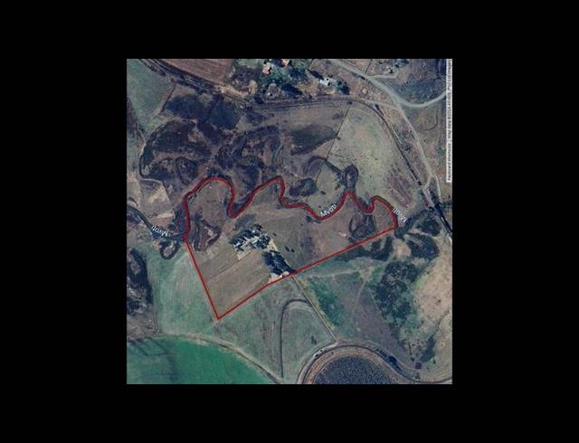 FARM FOR SALE IN GREYTOWN